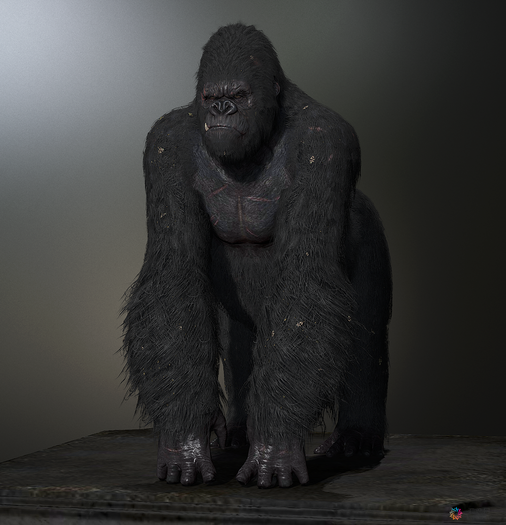 King-Kong_MV.png